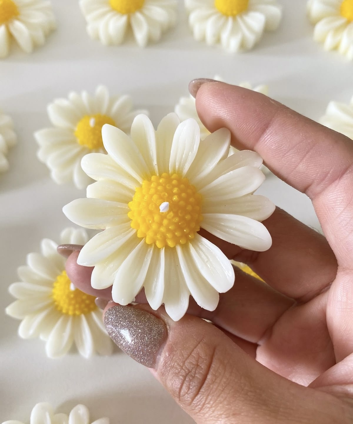 گیفت شمع گل بابونه معطر